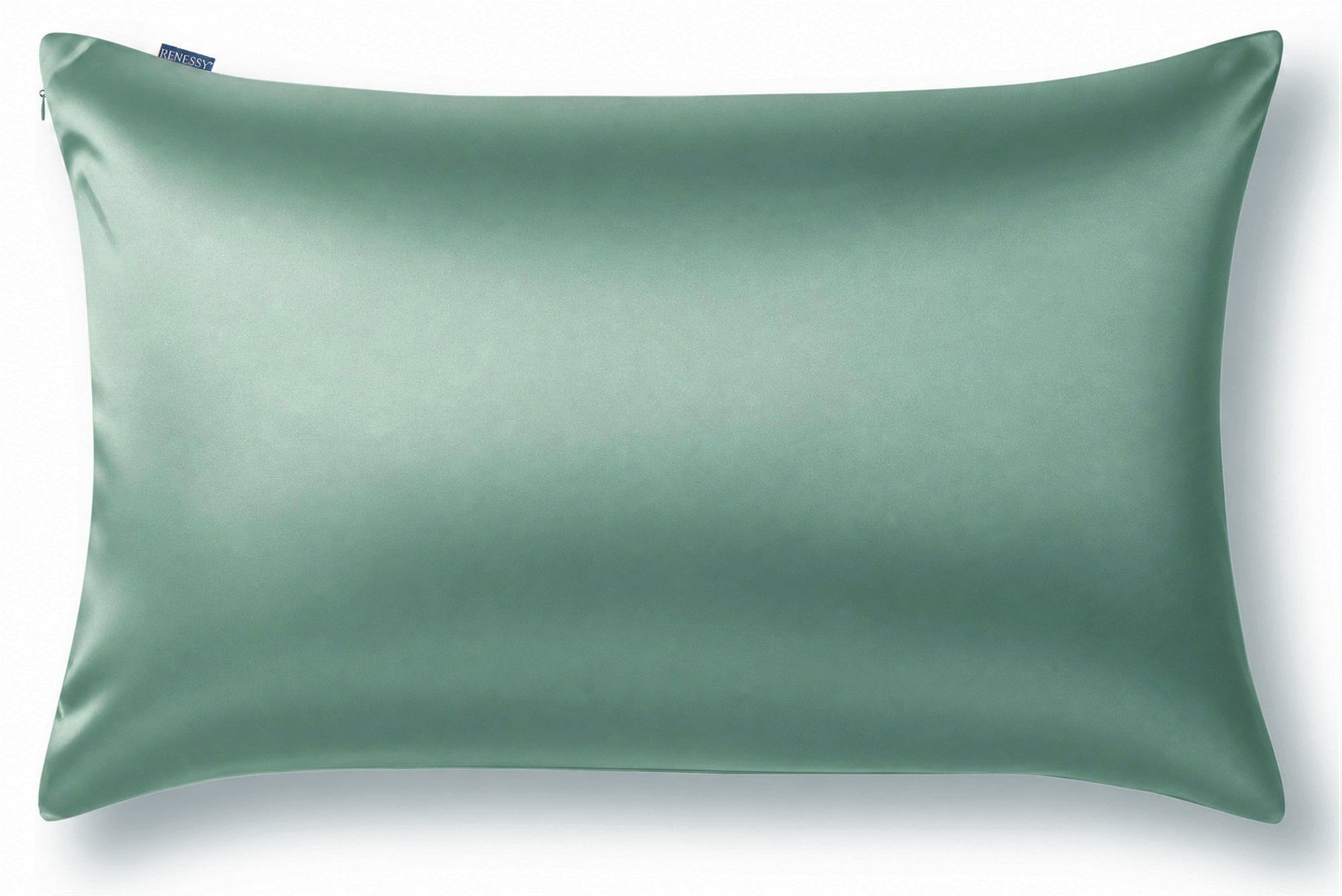 #color_Sage Green
